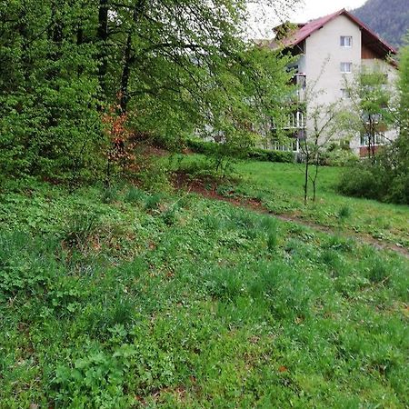 Rustic & Romantic Apartment Brasov Bagian luar foto