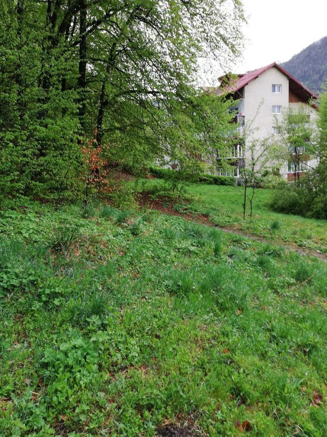Rustic & Romantic Apartment Brasov Bagian luar foto