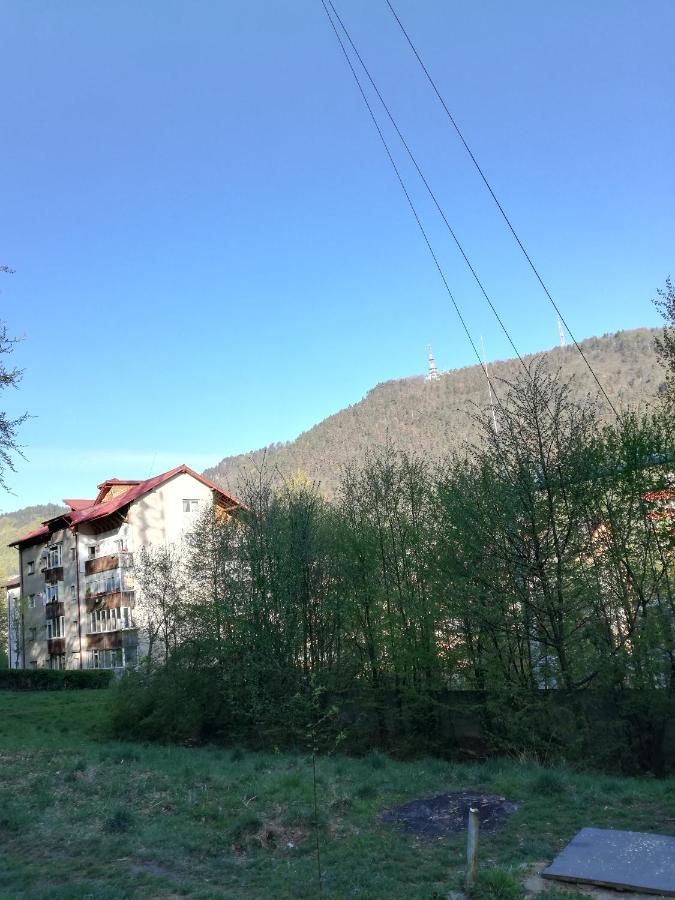 Rustic & Romantic Apartment Brasov Bagian luar foto