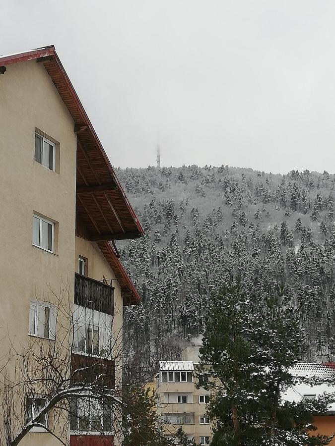 Rustic & Romantic Apartment Brasov Bagian luar foto